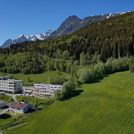 Sollia